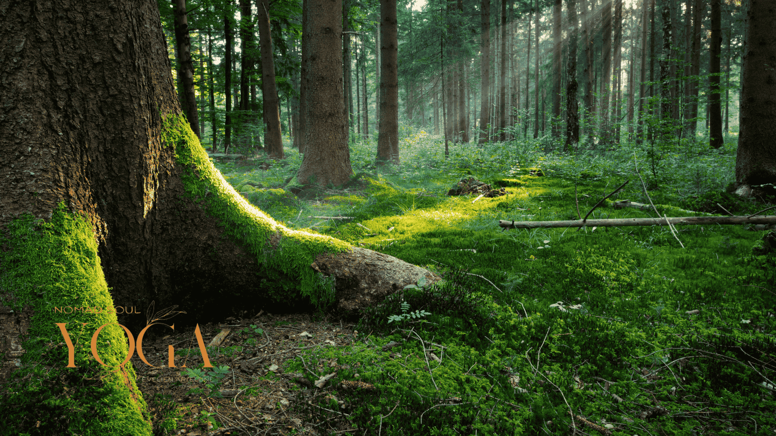 Grounding in the New Time